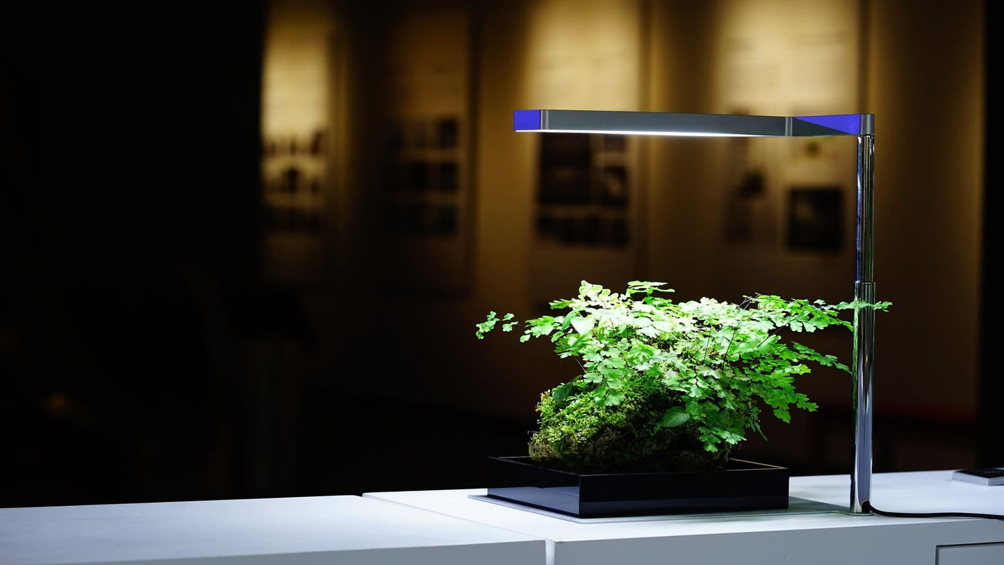 ONF Flat Nano One Silver