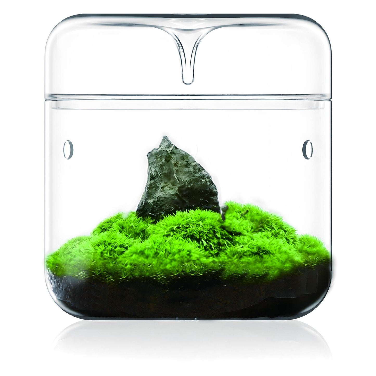 Cylinder Terrarium (S Size)