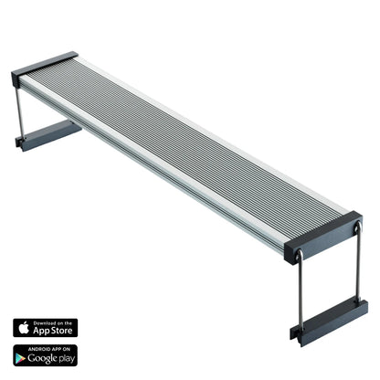 Twinstar Light V 300EA