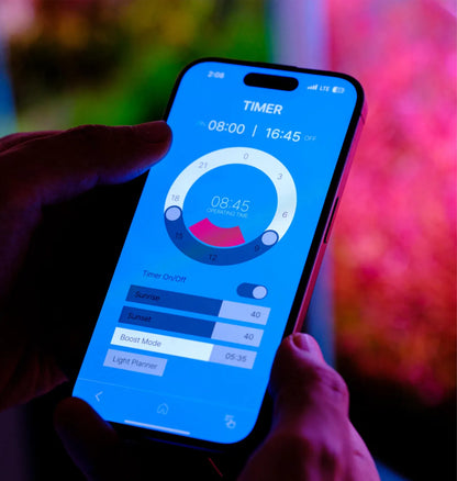 Twinstar Light 300S Version 5