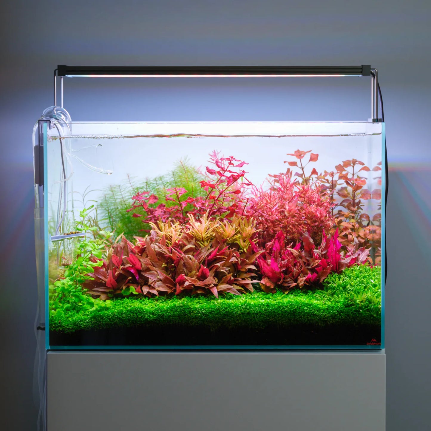 Twinstar Light 300S Version 5