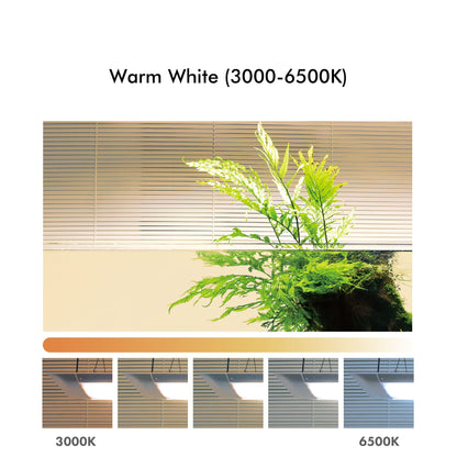 ONF Flat One+ Standard (YW 60cm)