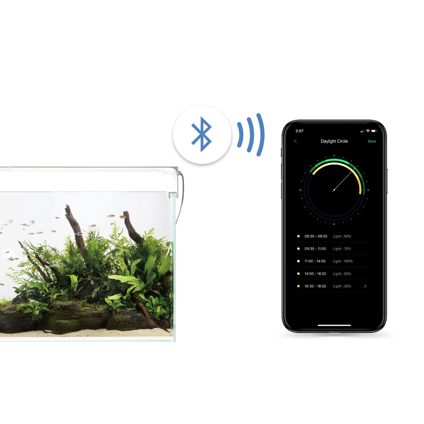 ONF Flat One+ Standard (YW 60cm)