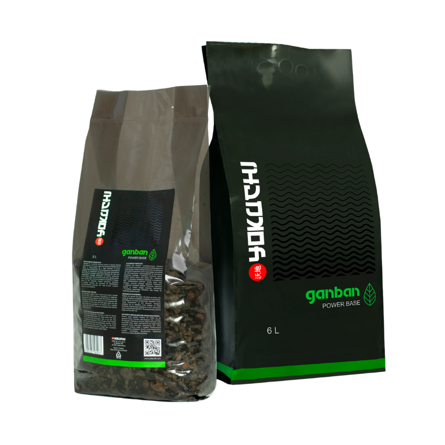 Yokuchi Ganban Power Base Substrate
