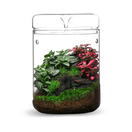 Cylinder Terrarium (L Size)