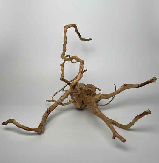 Redmoor Root Wood (L) 40-50cm