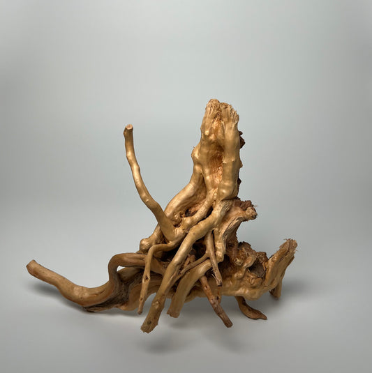 Redmoor Root Wood (S) 20-30cm