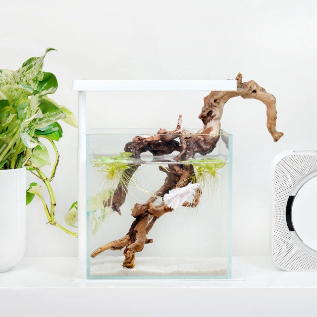 ONF Flat Nano One Plus & Stand (White)