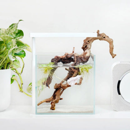 ONF Flat Nano One Plus & Stand (White)