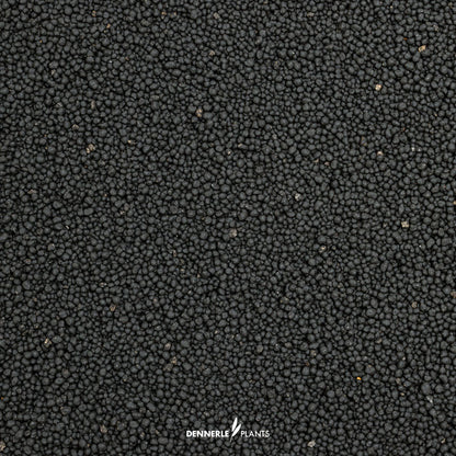 Dennerle Plants Soil
