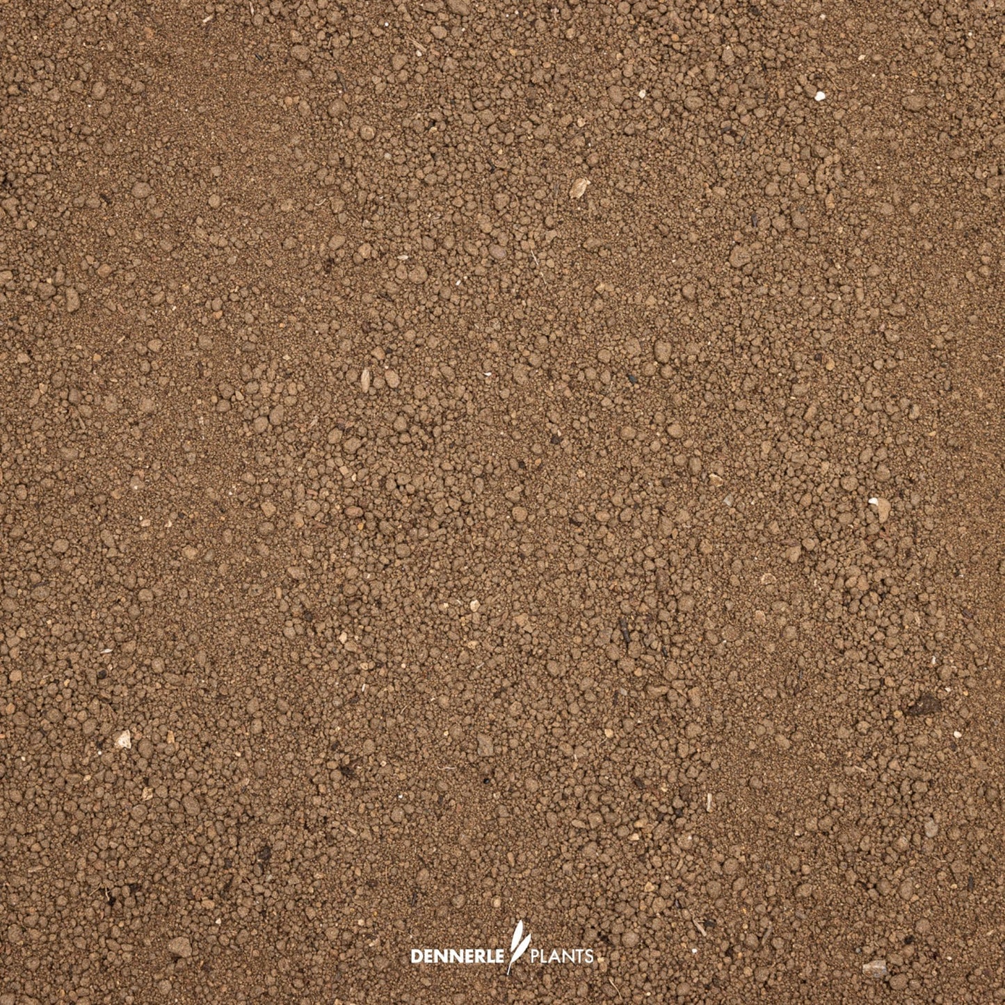 Dennerle Plants Substrate
