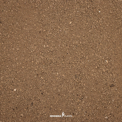Dennerle Plants Substrate
